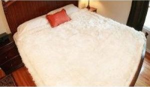World's Most Expensive Blankets - Stacks & Stacks Alpaca Fur Bedspread