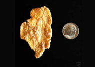 World's Most Expensive Cereal - The Great Illinois Corn Flake